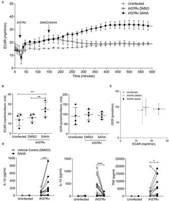 Inhibiting Histone Deacetylases in Human Macrophages Promotes Glycolysis, IL-1β, and T Helper Cell Responses to Mycobacterium tuberculosis